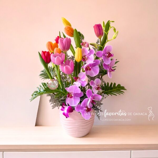 tulipanes y orquideas