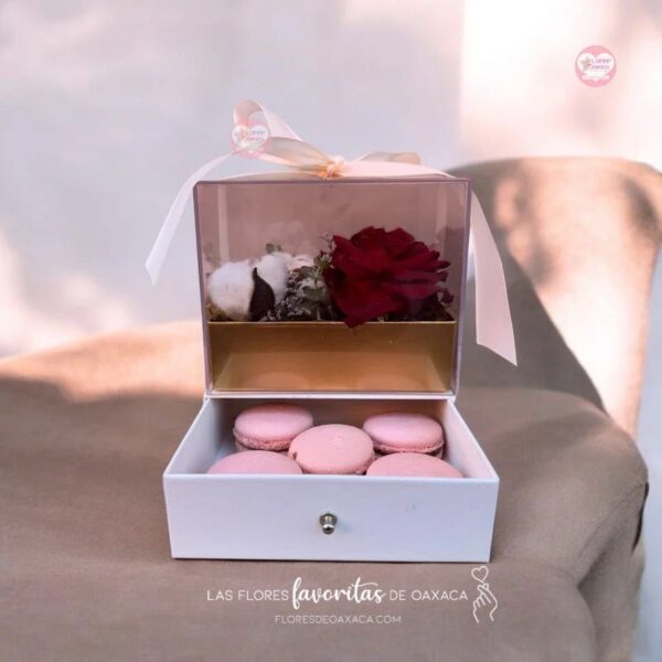 Roses Cotton Macaroon Box